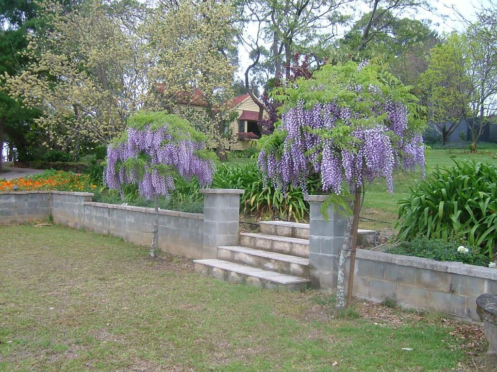 Hermitage Cottage Kurrajong Dış mekan fotoğraf